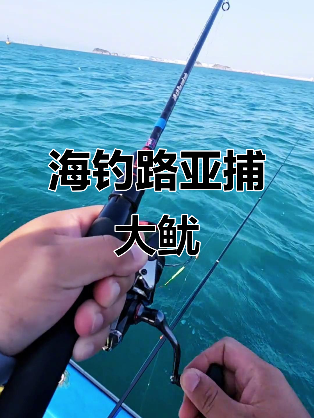 鱿鱼条路亚(鱿鱼路亚轮特点)