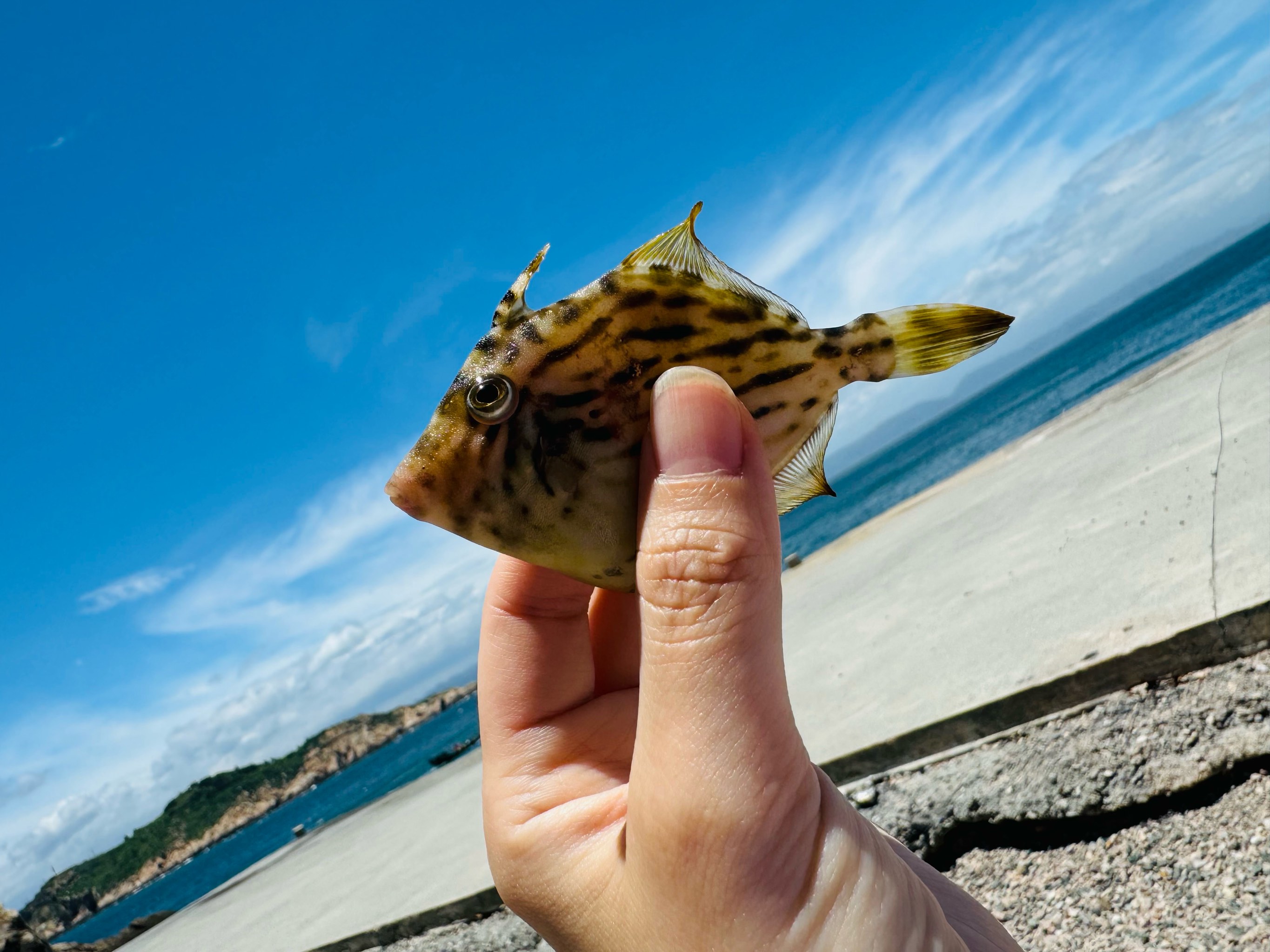 连江海钓地点(连江哪里有海边)