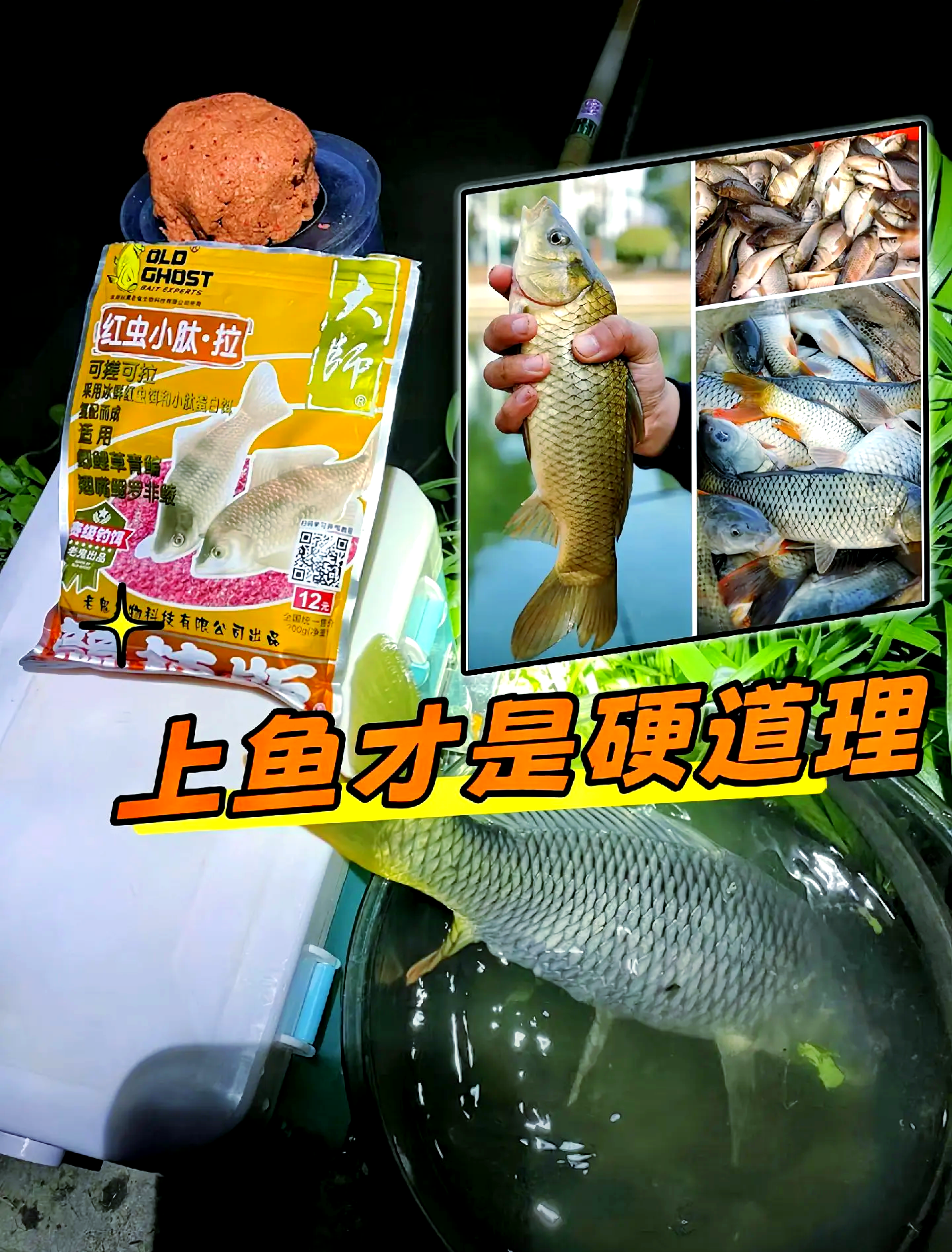 鲤霸与什么饵料搭配(101鲤霸什么季节使用)