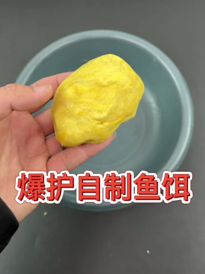 自己做饵料(自己做饵料鱼吃什么)