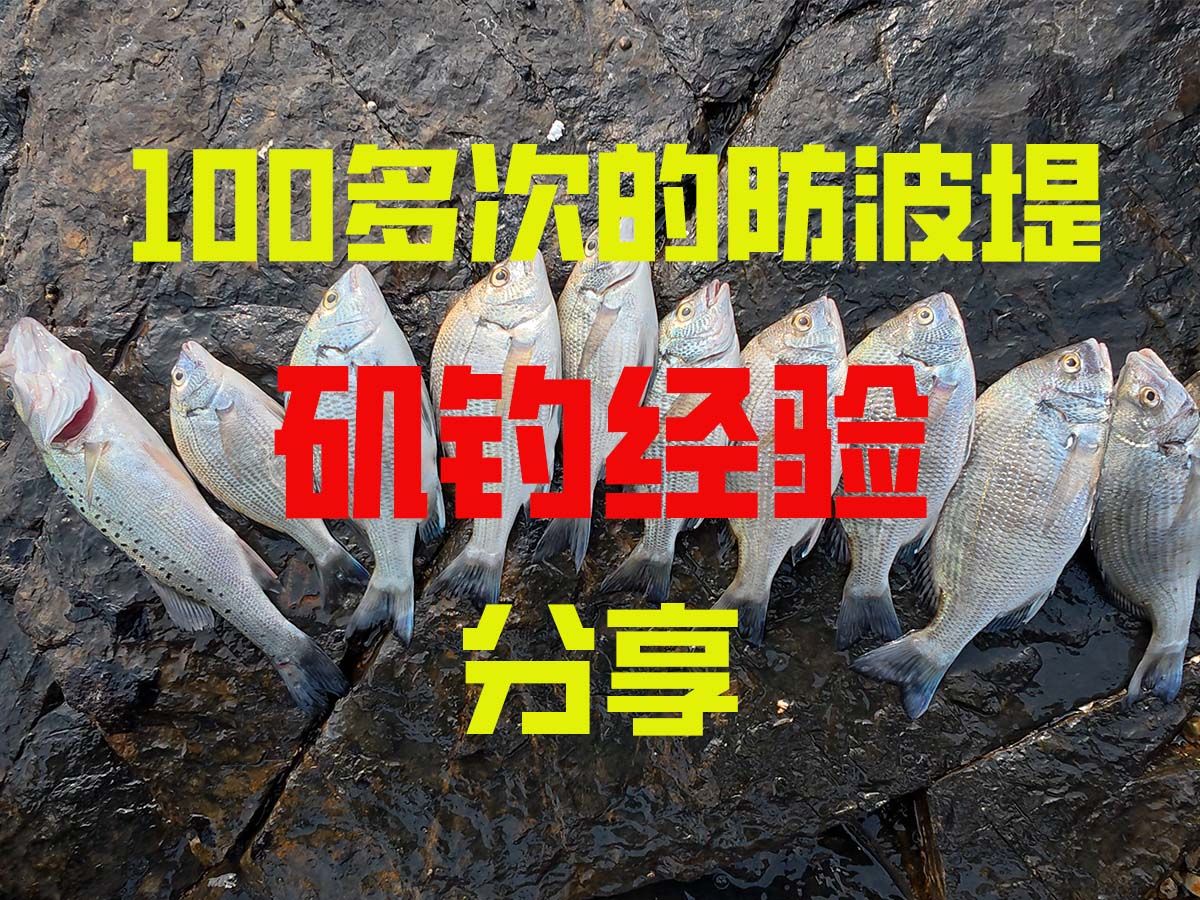 矶钓黑鯛技巧(矶钓黑鲷用什么饵最好)