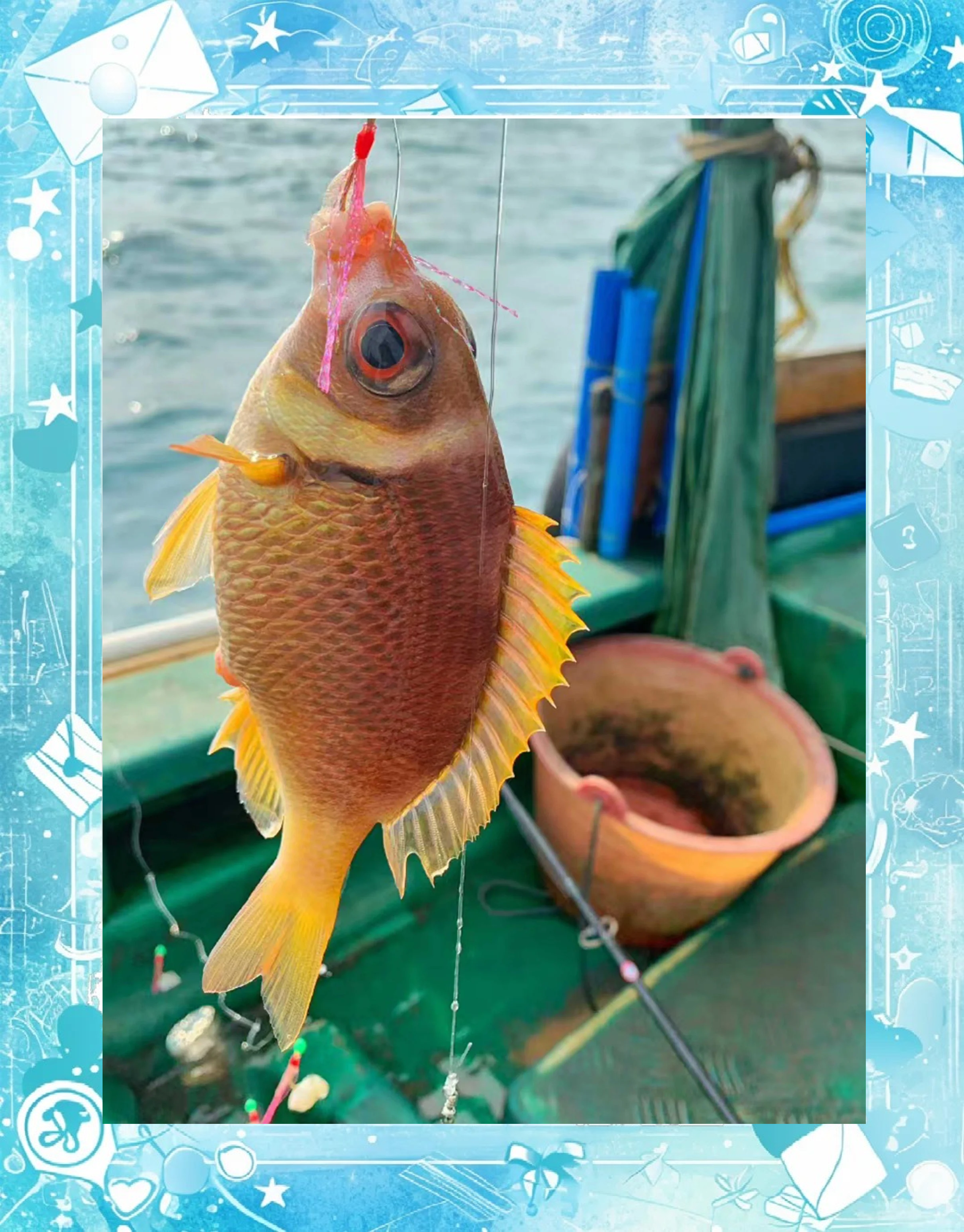 深圳周边海钓(深圳周边海钓鱼排)