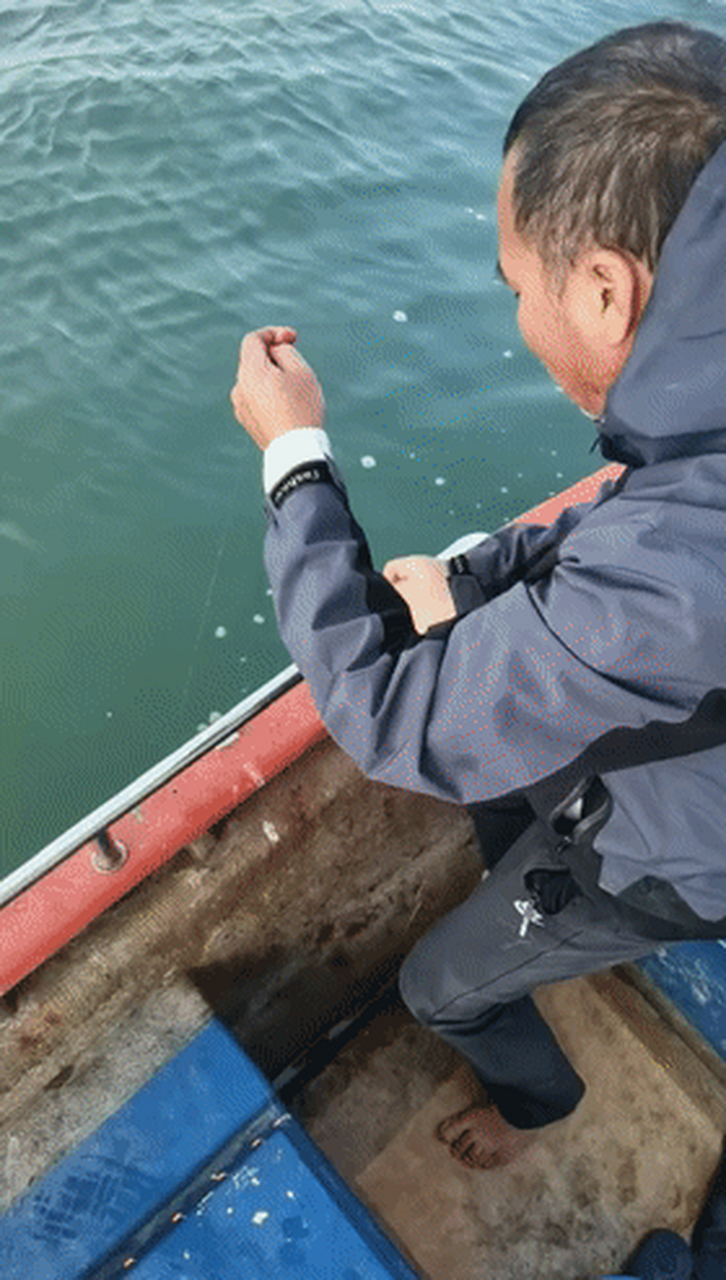 文登南海钓海鲈(文登南海新区哪里适合钓鱼)