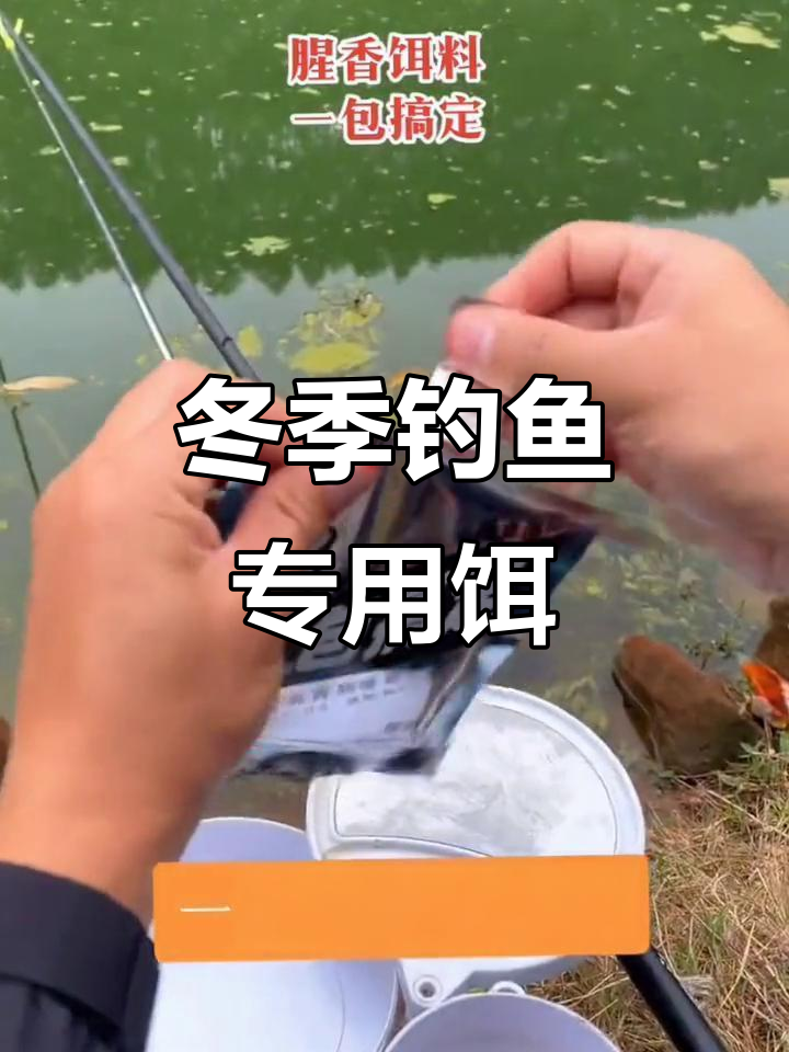 冬天垂钓技巧饵料(冬季垂钓用什么饵料)