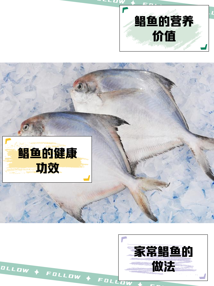 水库钓鲳鱼技巧(水库浮钓鲳鱼多深合适)
