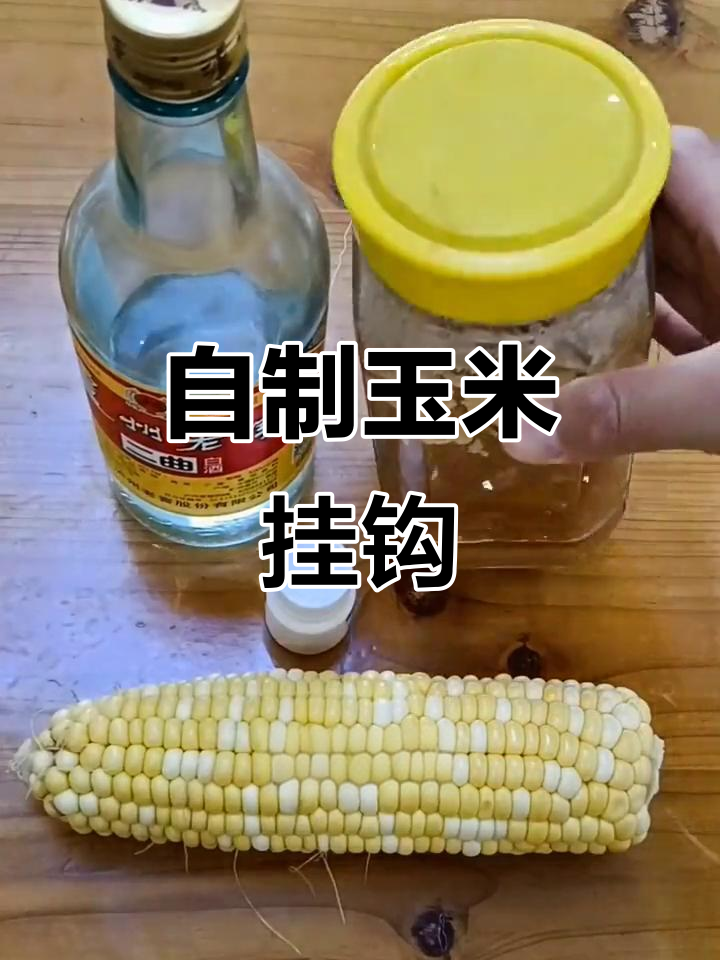 甜玉米饵料泡制方法(甜玉米饵料泡制方法视频)