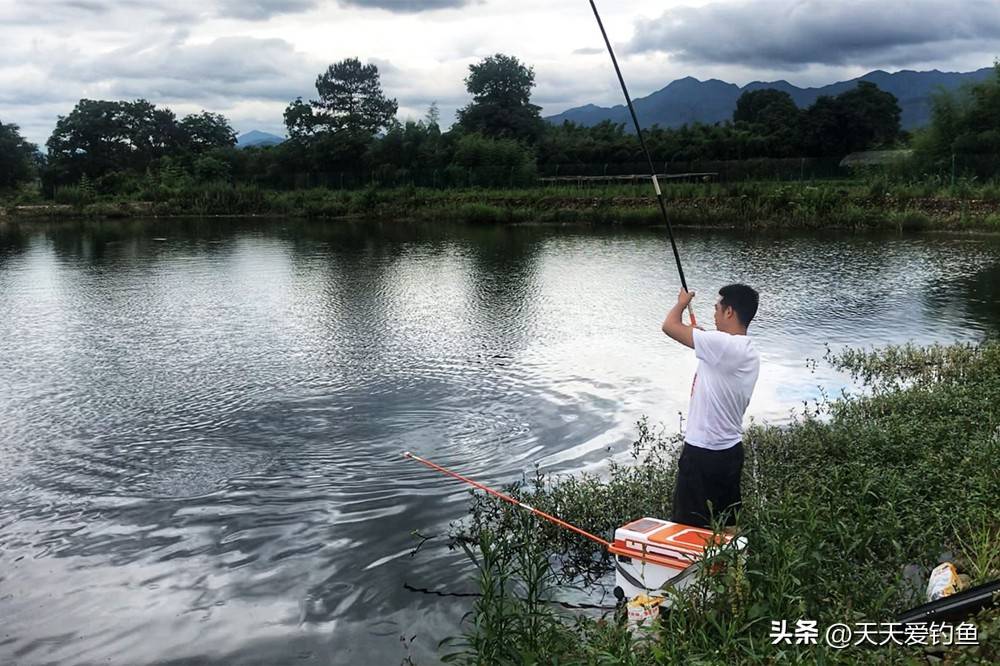 春天下雨钓鲫鱼技巧(春天下雨钓鲫鱼技巧视频)