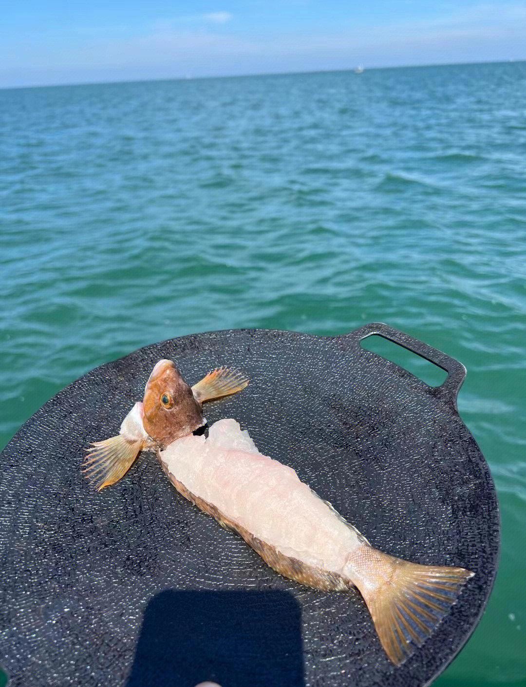 威海钓点(威海钓场_威海钓场大全_威海哪里能钓鱼)