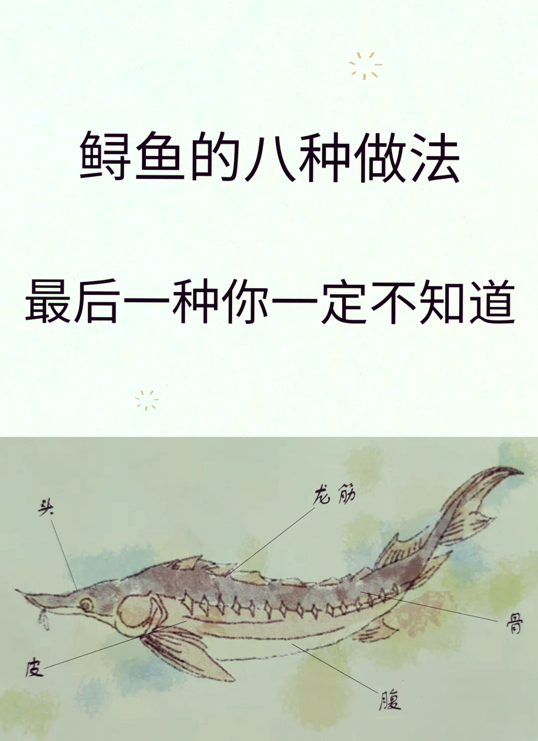 鲟鱼饵料搭配(鲟鱼饲料钓鱼好用吗)