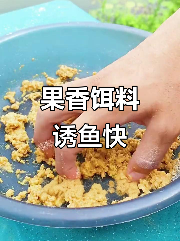 怎样开鱼饵料视频(开饵料教程)