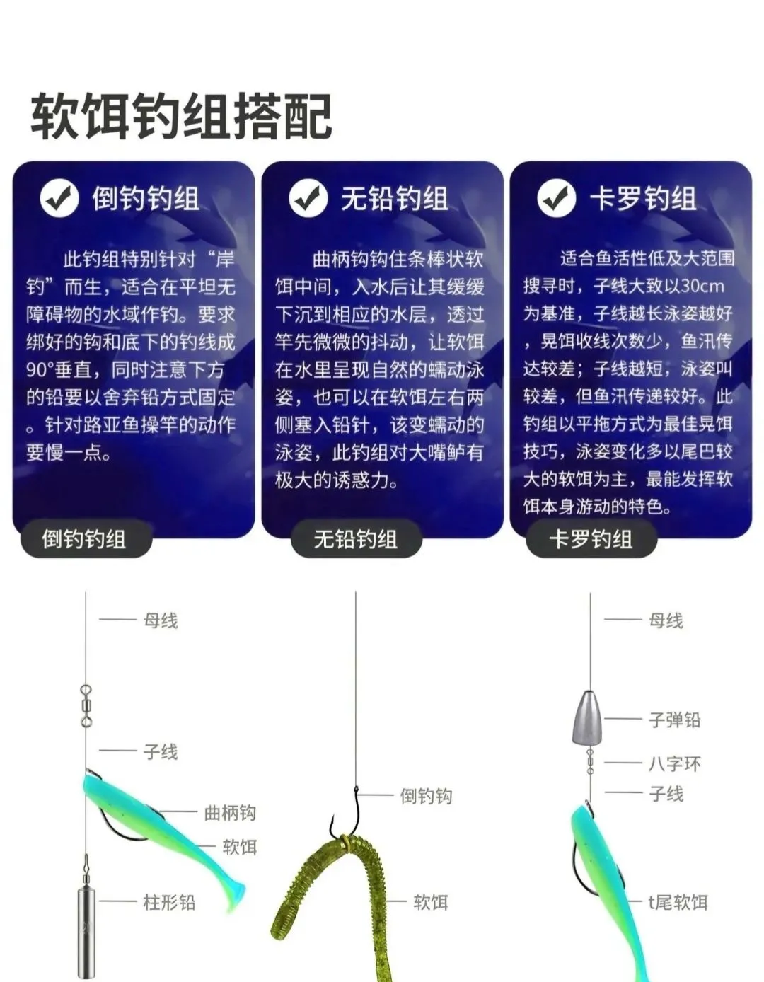 饵料搭配技巧视频(饵料如何搭配)