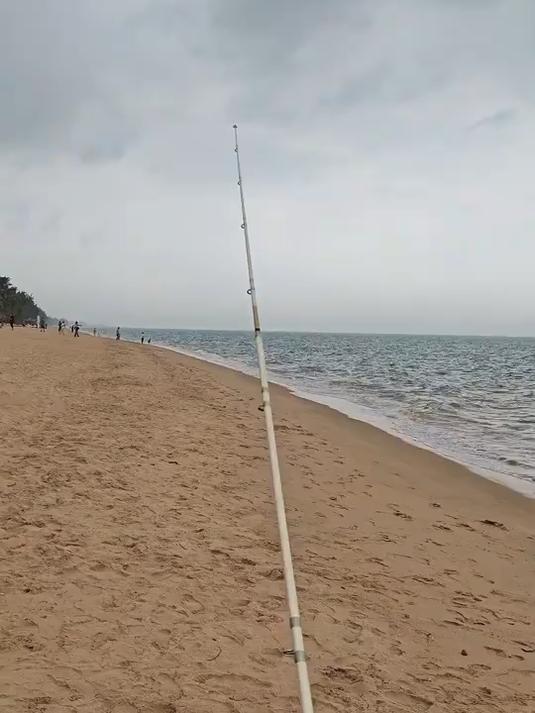 南通海钓最佳钓位(南通钓点查询)