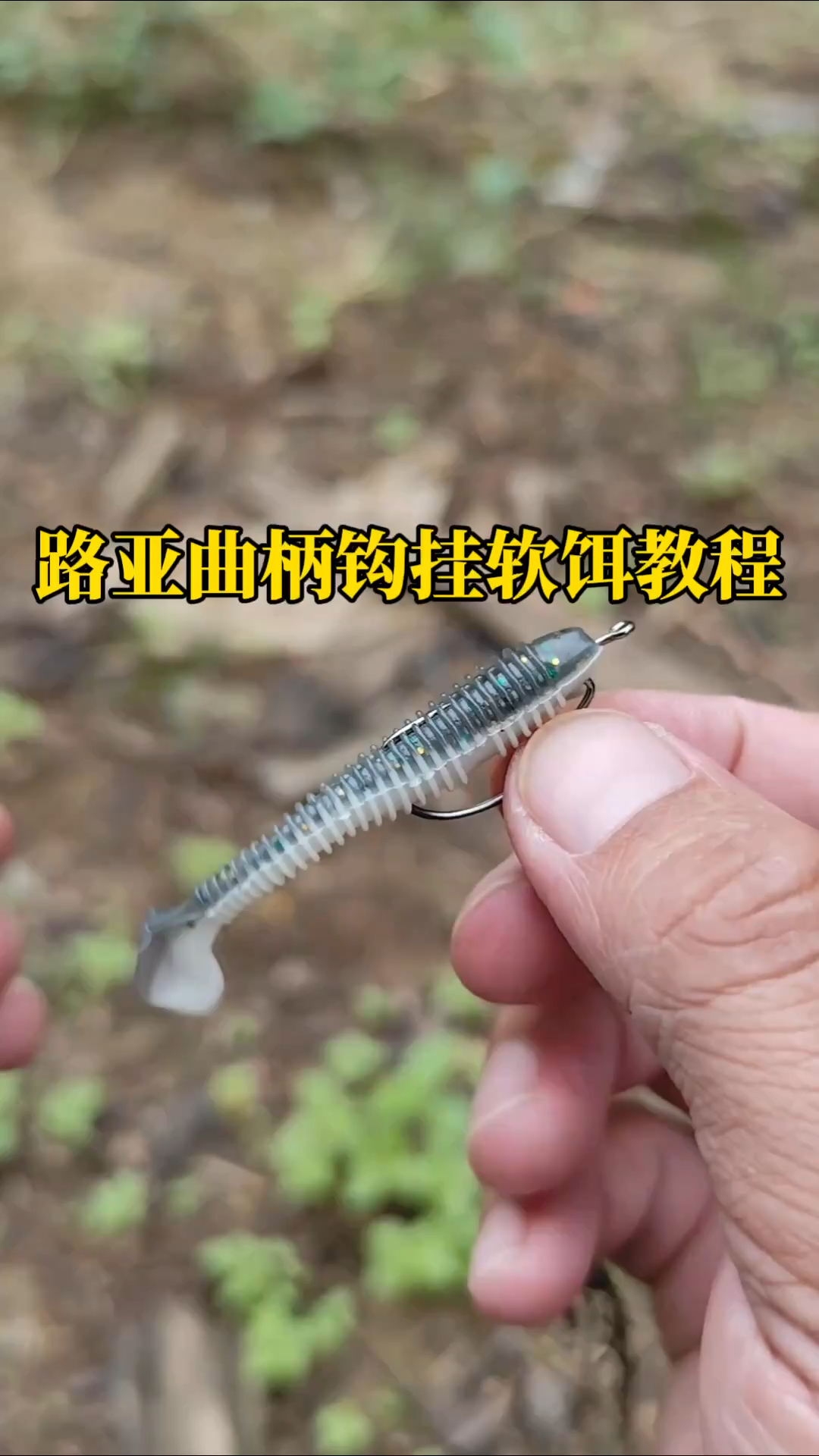 如何挂饵料(怎样挂饵料钓鱼)