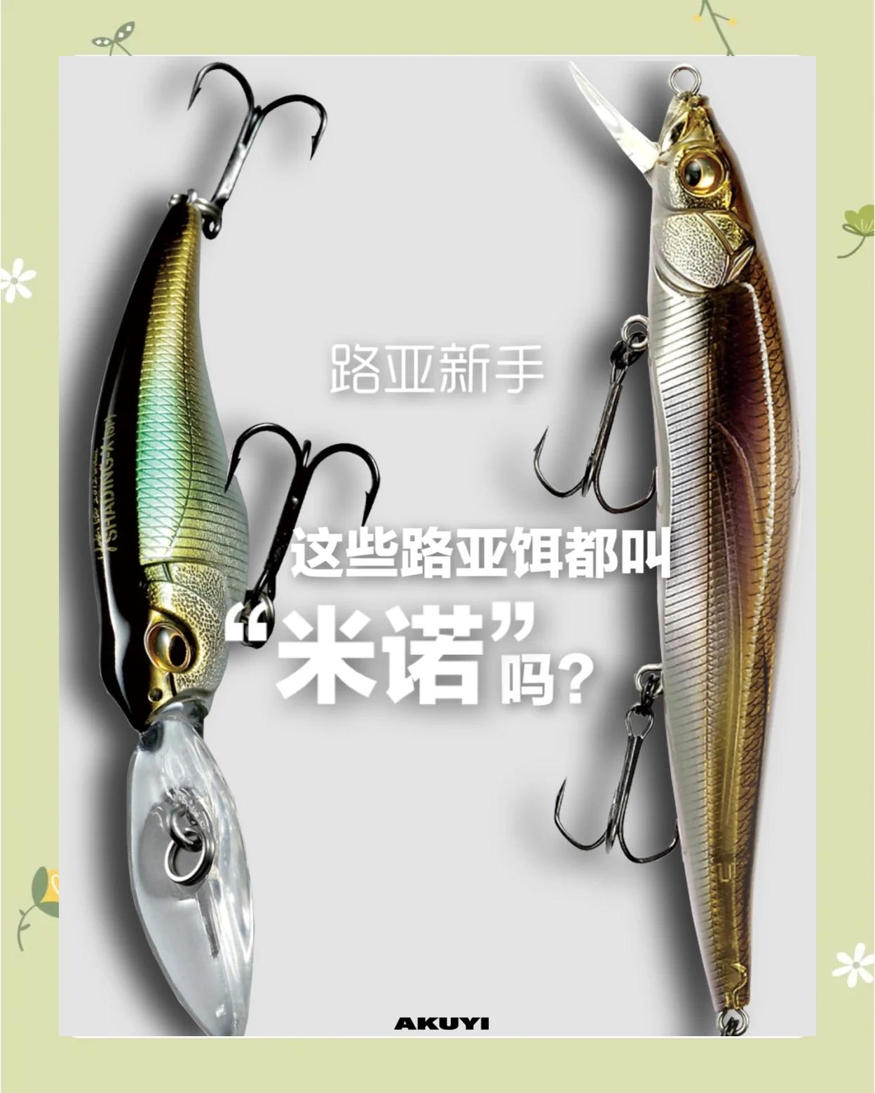 路亚米诺历史(路亚米诺是什么意思啊)