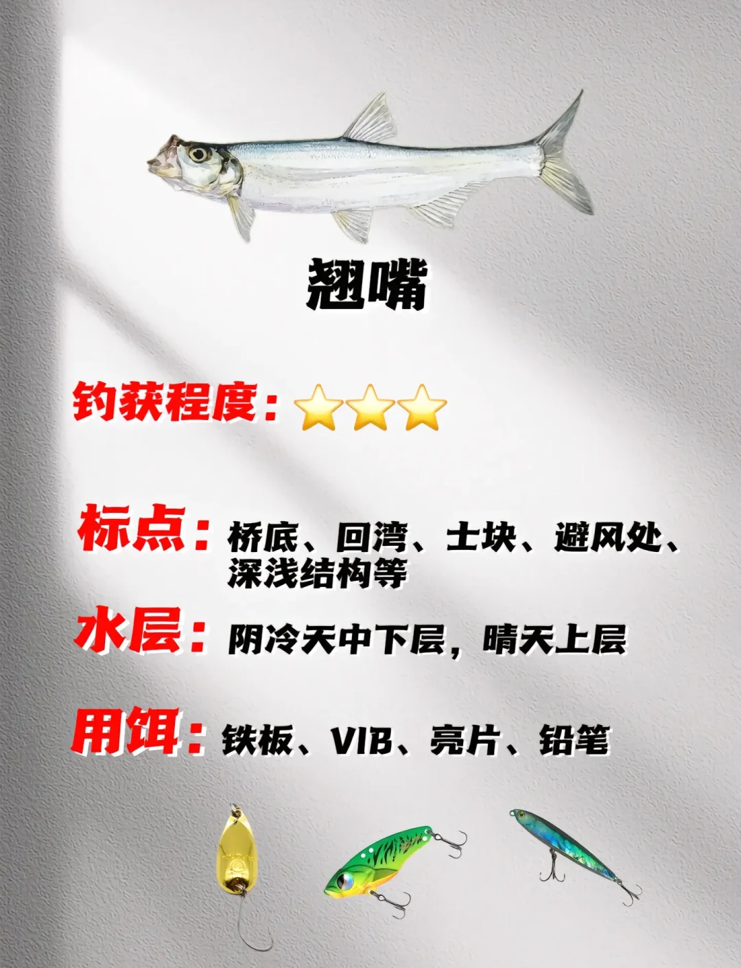 初冬路亚(初冬路亚翘嘴的技巧和时间)