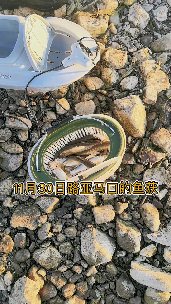 初冬路亚(初冬路亚翘嘴的技巧和时间)