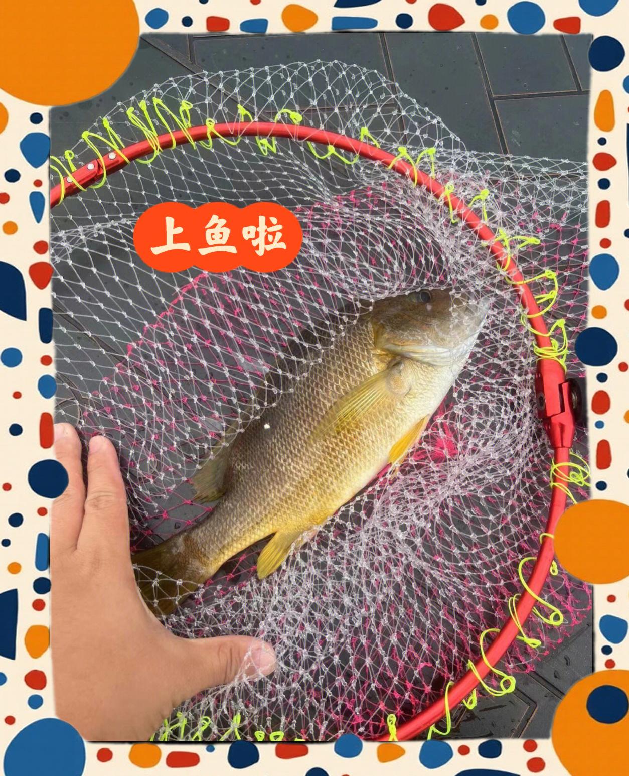杭州海钓鱼种(杭州钓大鱼的地方)