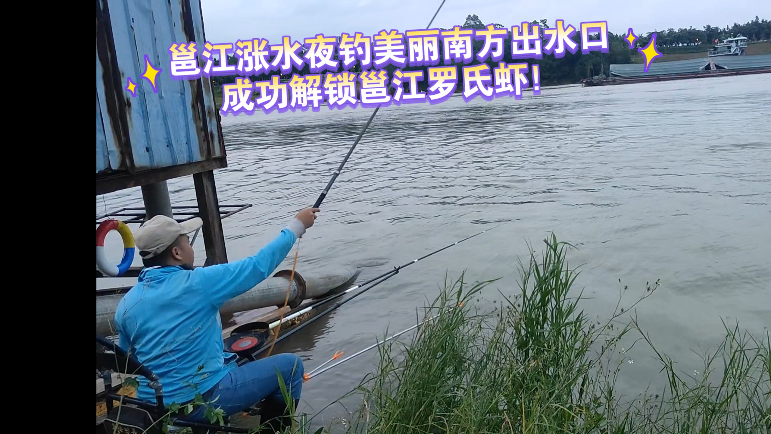 钓钓罗氏虾技巧(如何钓罗氏虾)