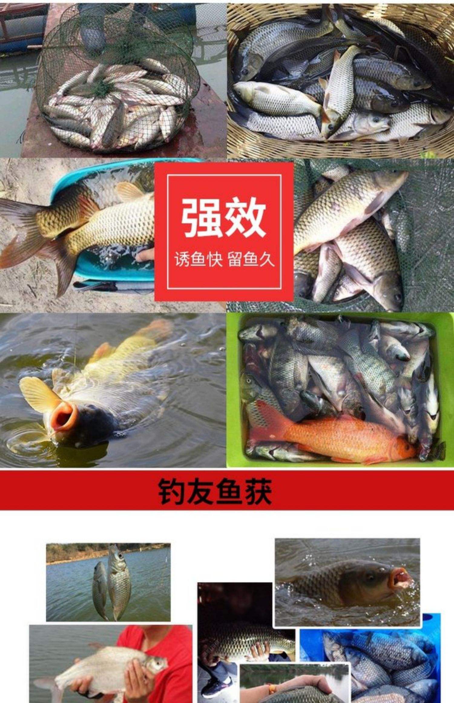 爆炸钩饵料怎么攅(爆炸钩一般多久上鱼)