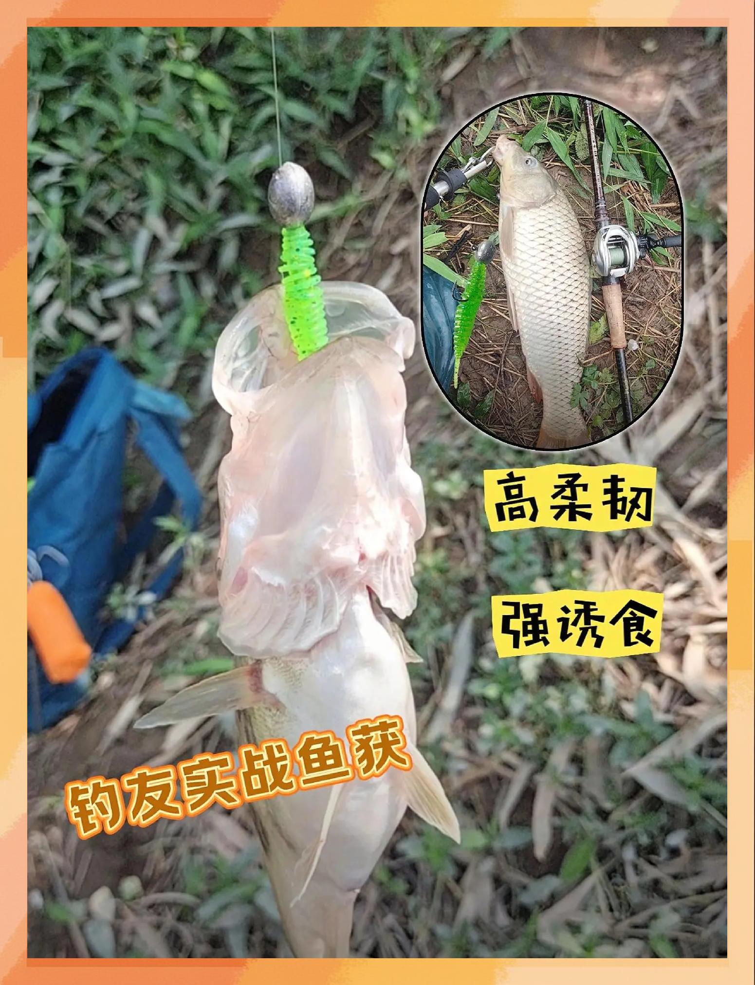 用什么路亚饵钓草鱼(路亚路草鱼用什么拟饵)