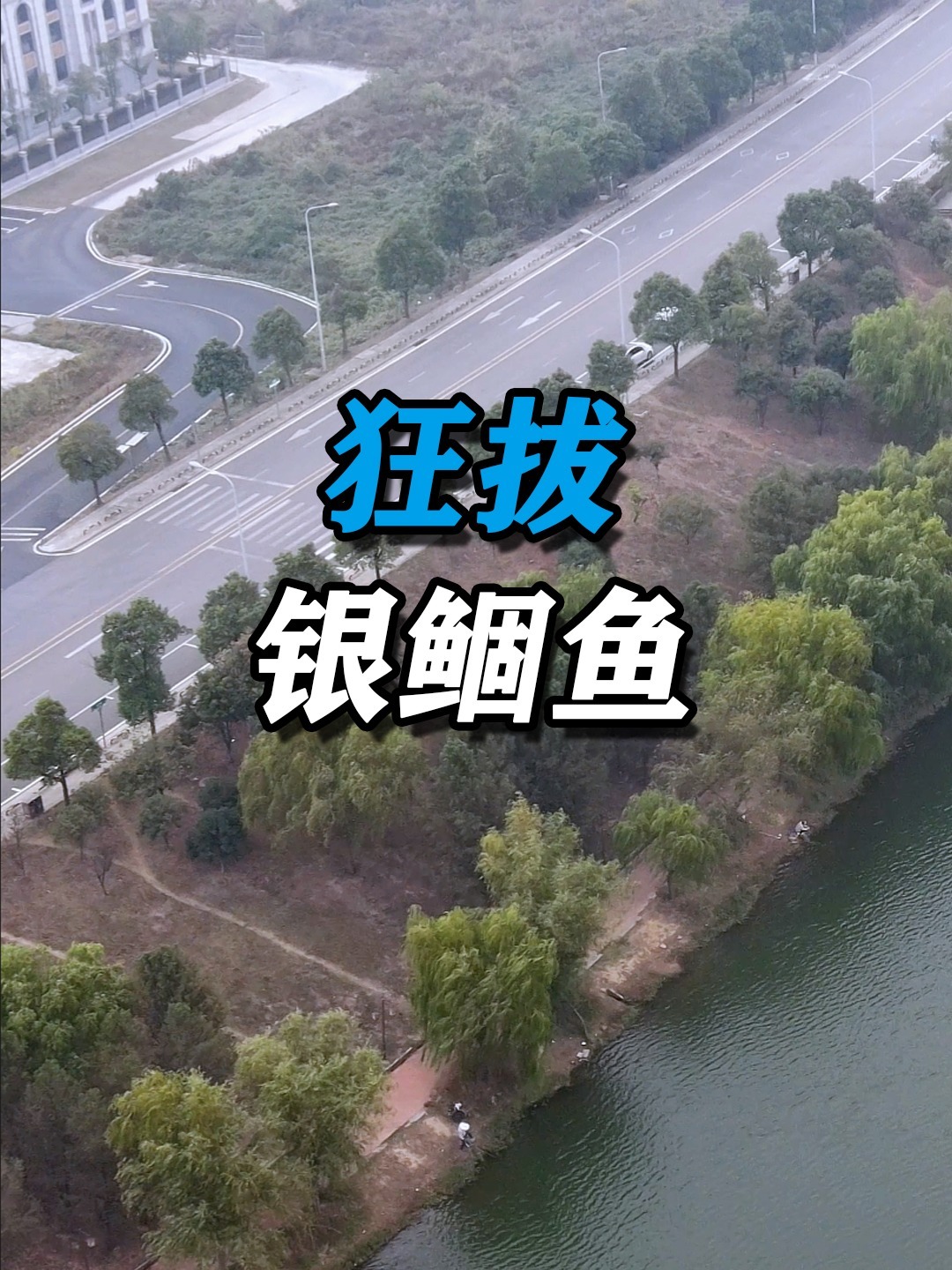 垂钓银鲴鱼技巧(钓银鲴鱼用什么饵料最好)