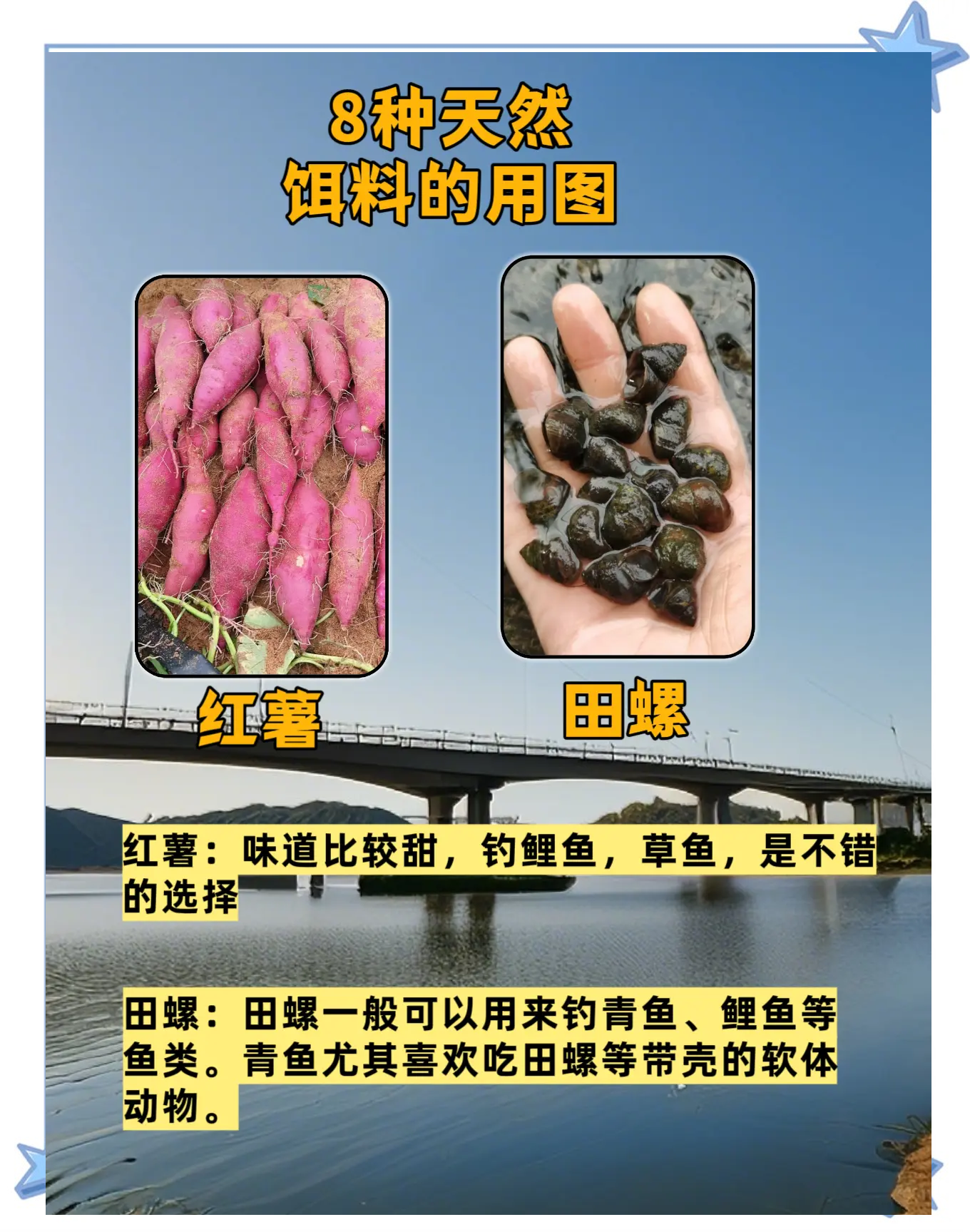 九一八饵料原料成分(九一八饵料有几种味型)