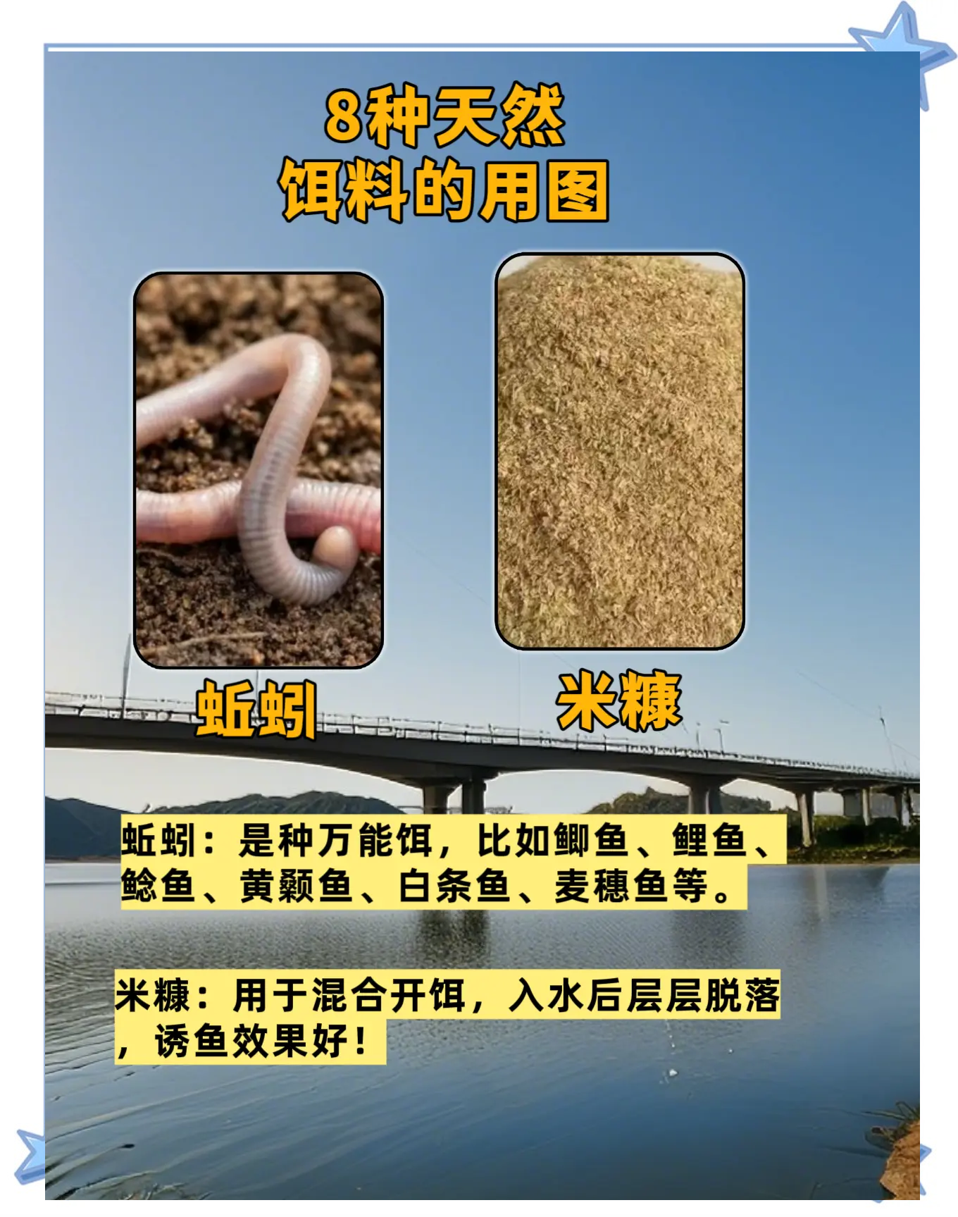 九一八饵料原料成分(九一八饵料有几种味型)