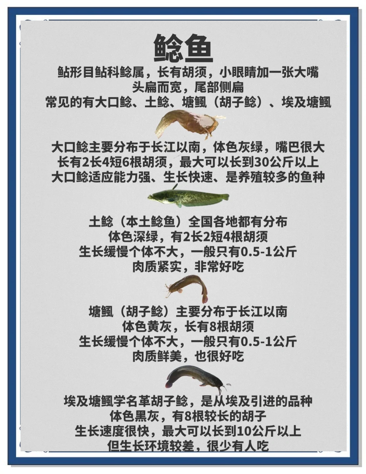 都柳江路亚鱼种(广西柳州路亚)