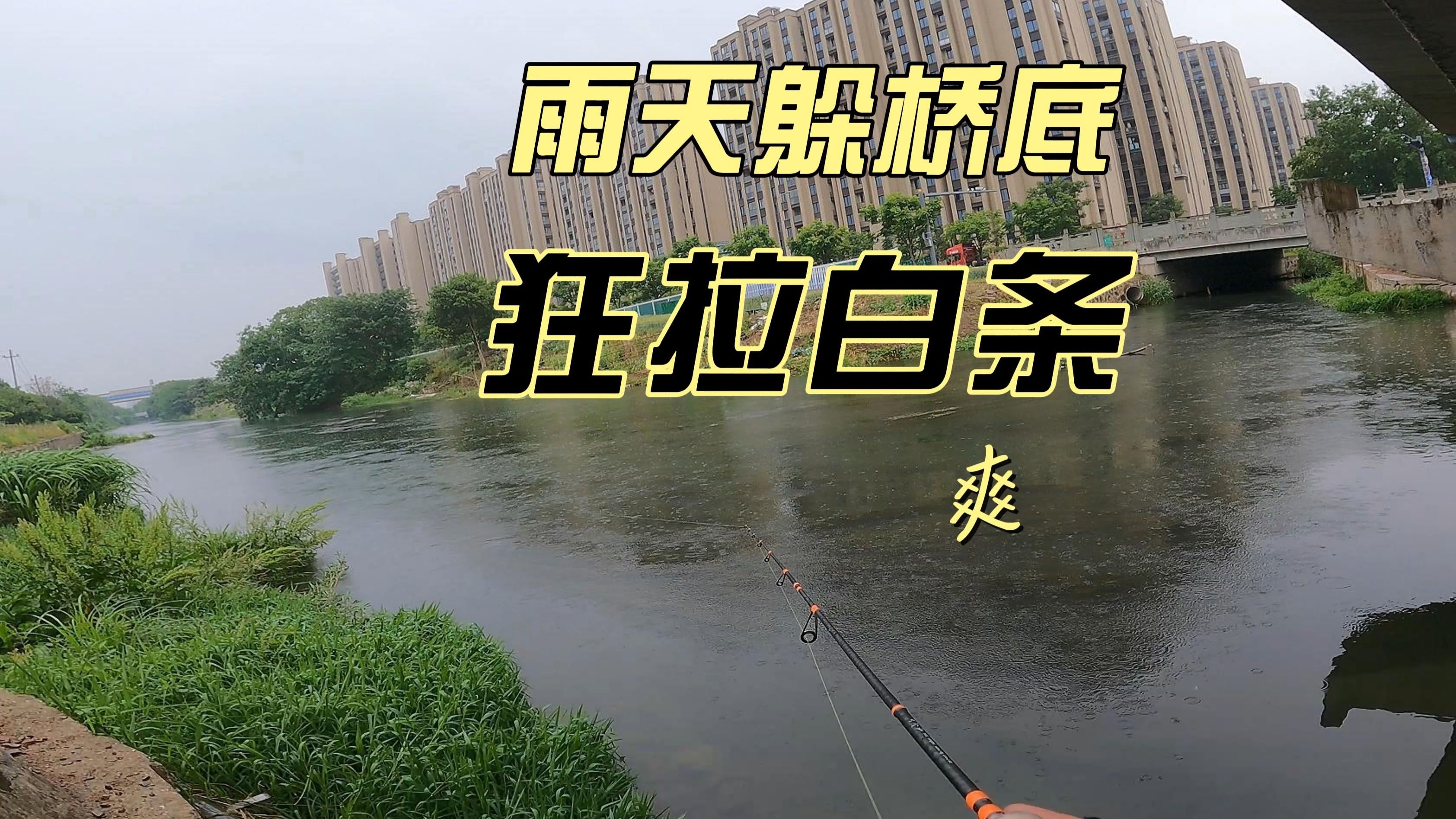 桥底路亚(桥底路亚标点如何寻找)