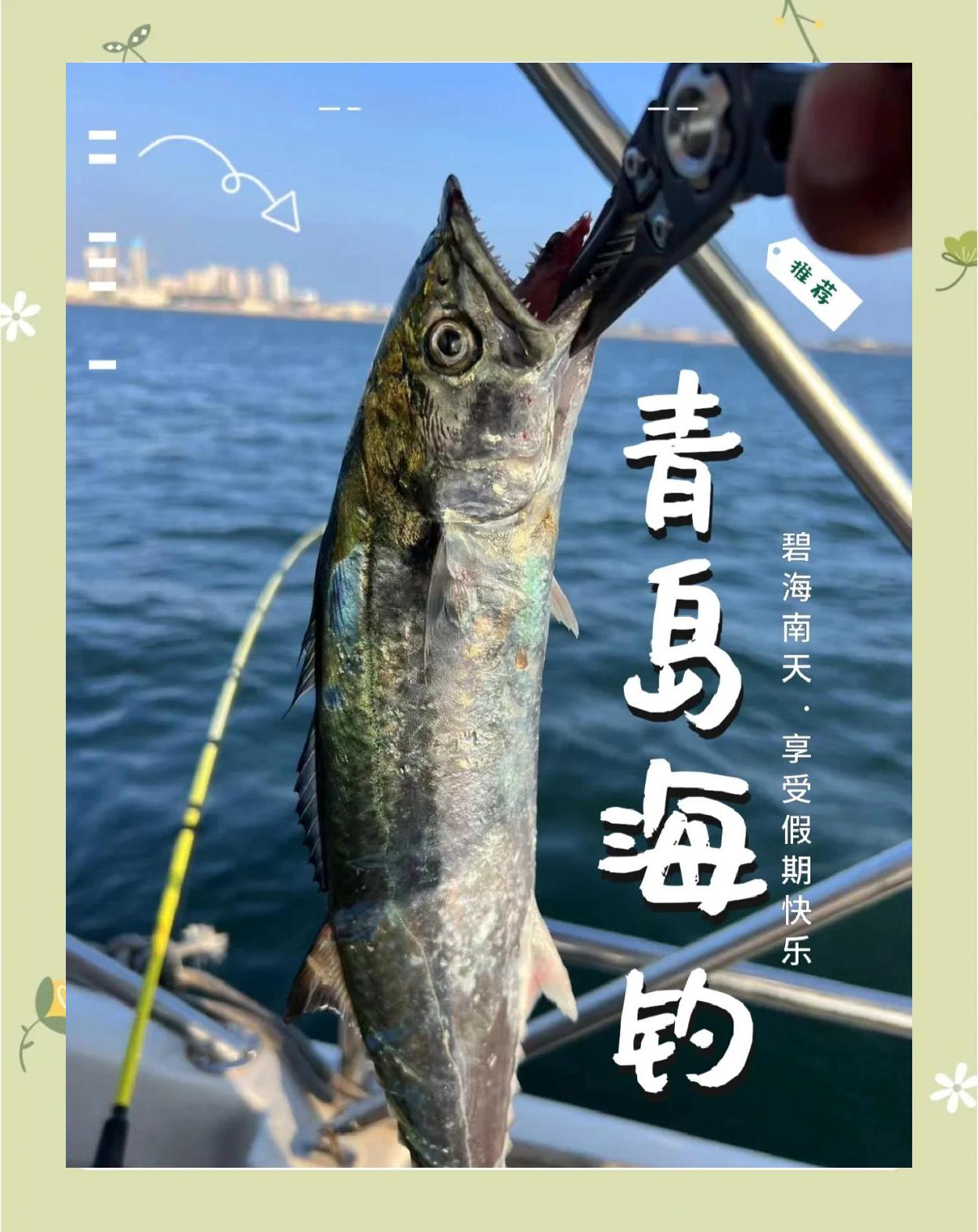 青岛海钓鱼联盟(钓鱼联盟官方网站)