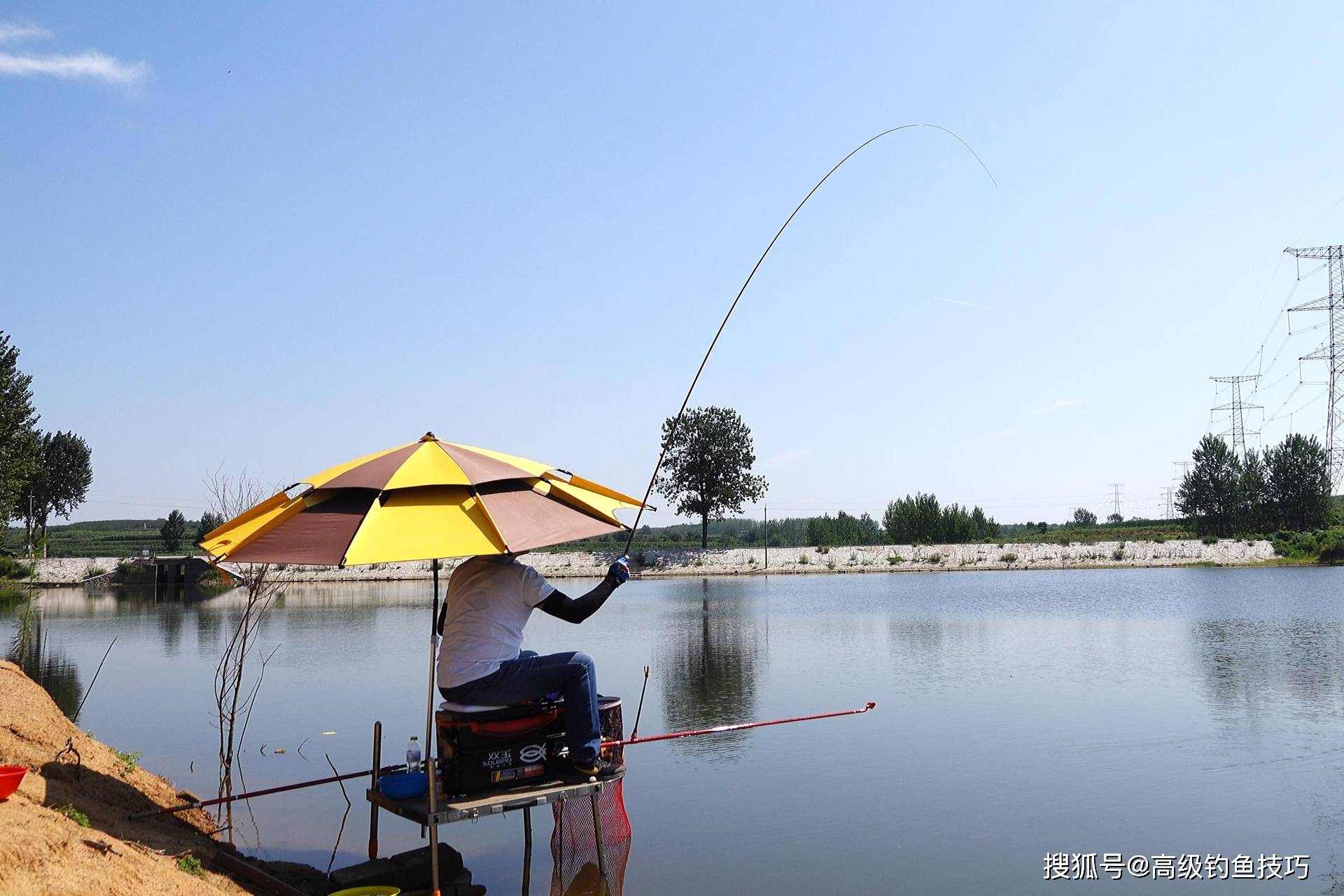 夏季沙坑钓鲤鱼技巧(沙坑钓鱼如何选择钓位和用饵)