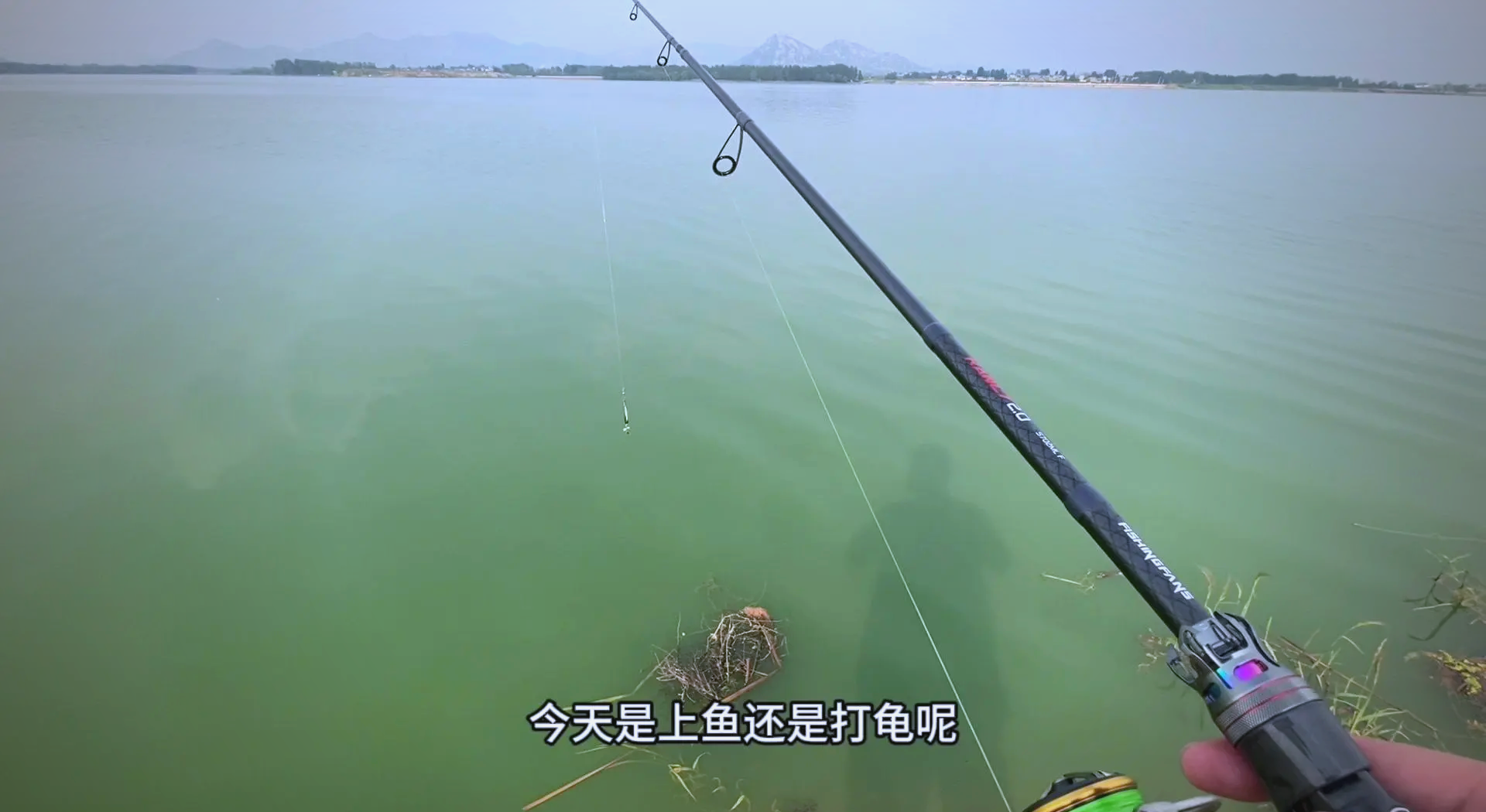水库玩路亚(水库玩路亚还是台钓)