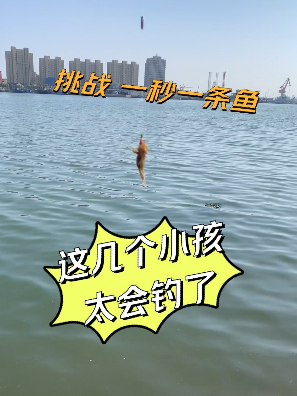 十一龙口海钓(山东龙口海钓钓点)