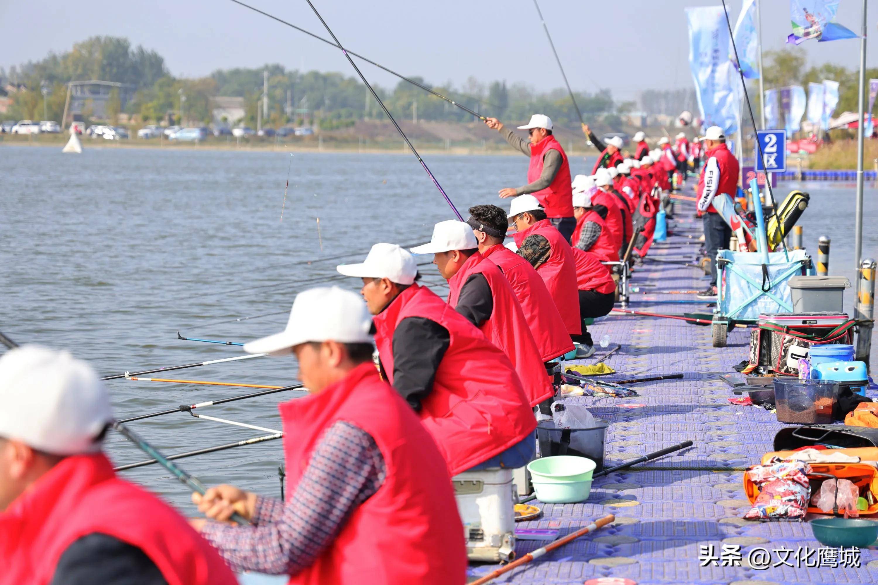 四海钓鱼视频直播(四海钓鱼视频大全集)
