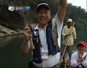 四海钓鱼视频直播(四海钓鱼视频大全集)