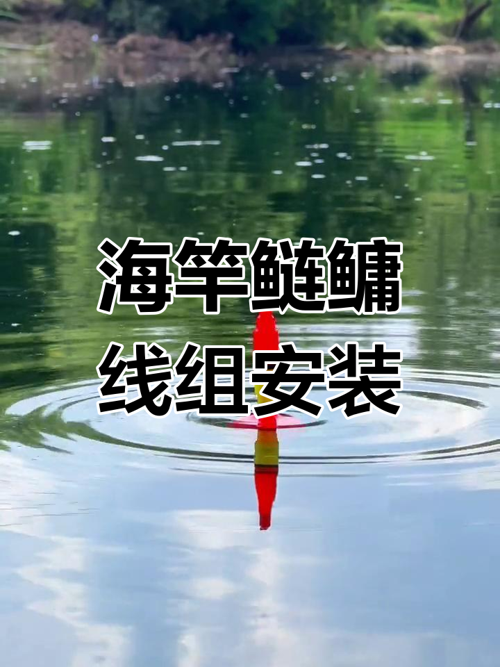 夏季晚上打海竿技巧(晚上打海杆有什么区别)