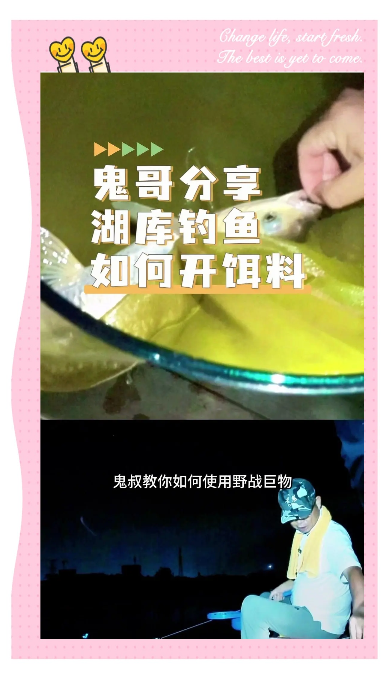 水库青鱼不吃饵料(水库青鱼不吃饵料怎么办)