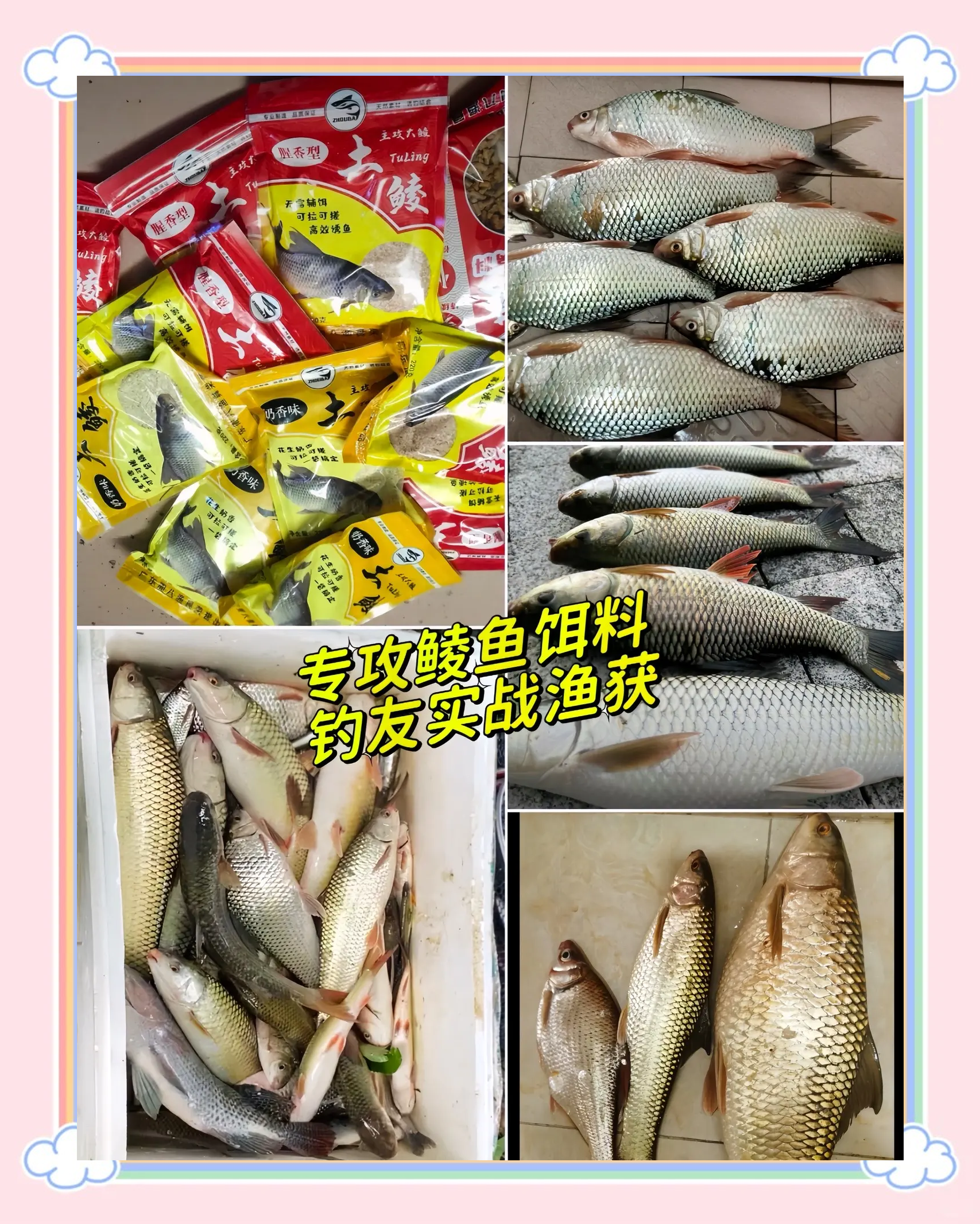 秋季土鲮饵料(秋天钓土鲮用香味还是腥味?)