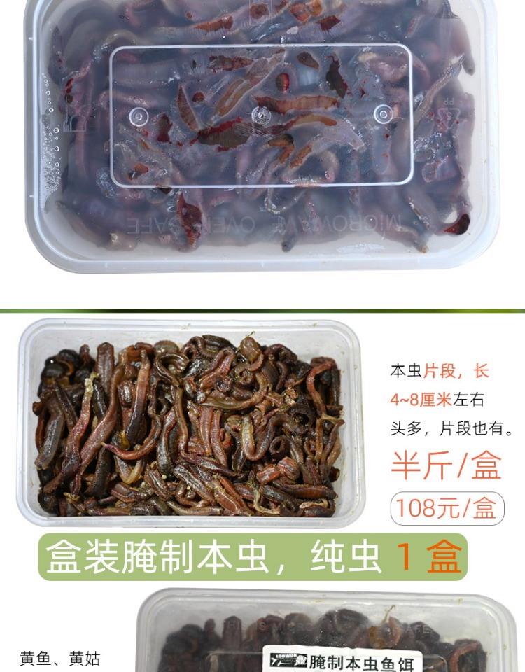 广西海钓虫(广西野钓)