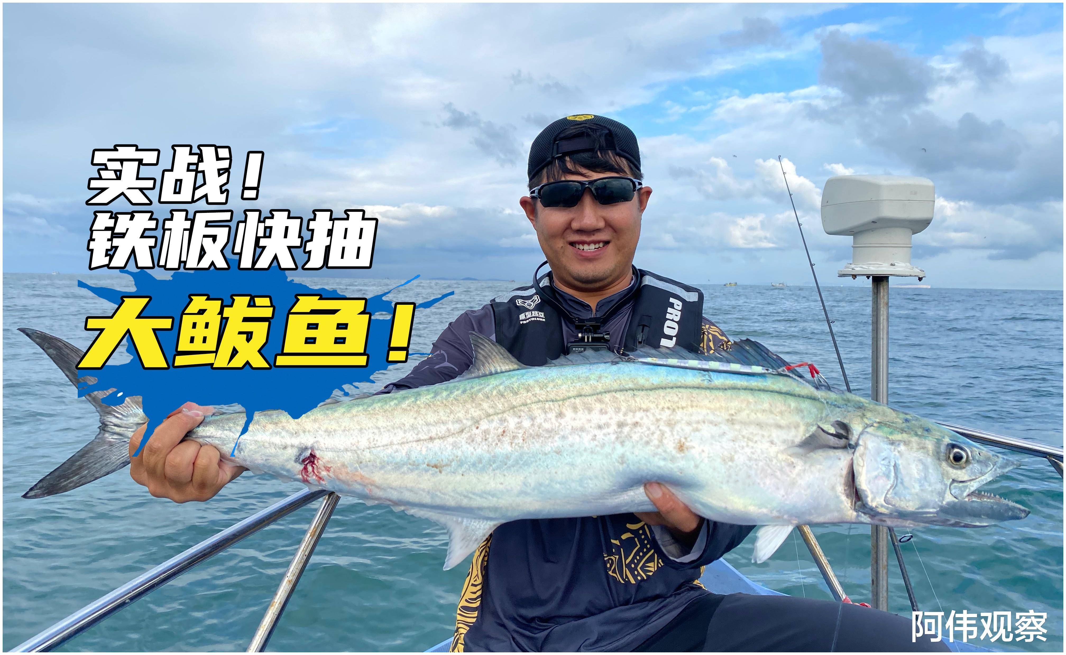 青岛近期海钓视频(青岛 海钓)