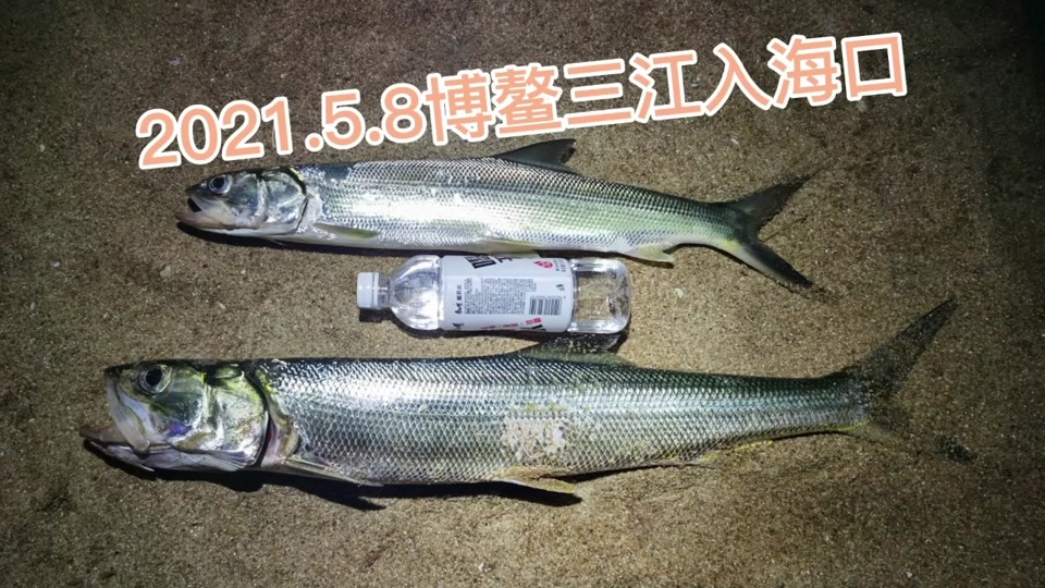 海口路亚(海口路亚几点开始到晚上的)