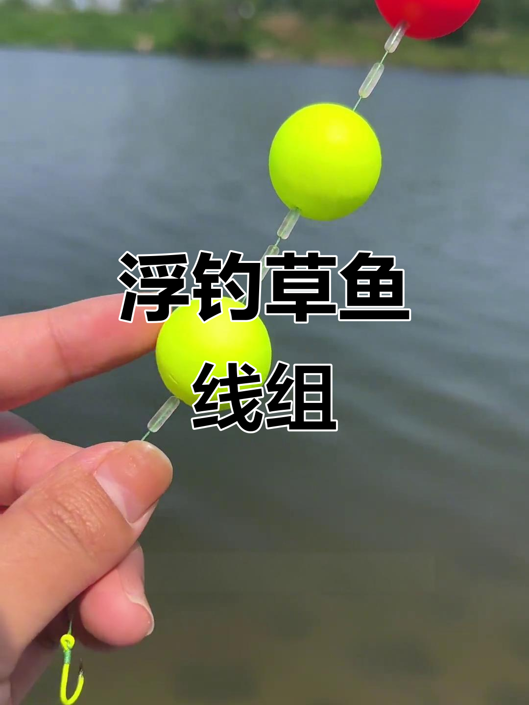 浮钓鲤鱼草鱼技巧(浮钓草鱼视频教程)