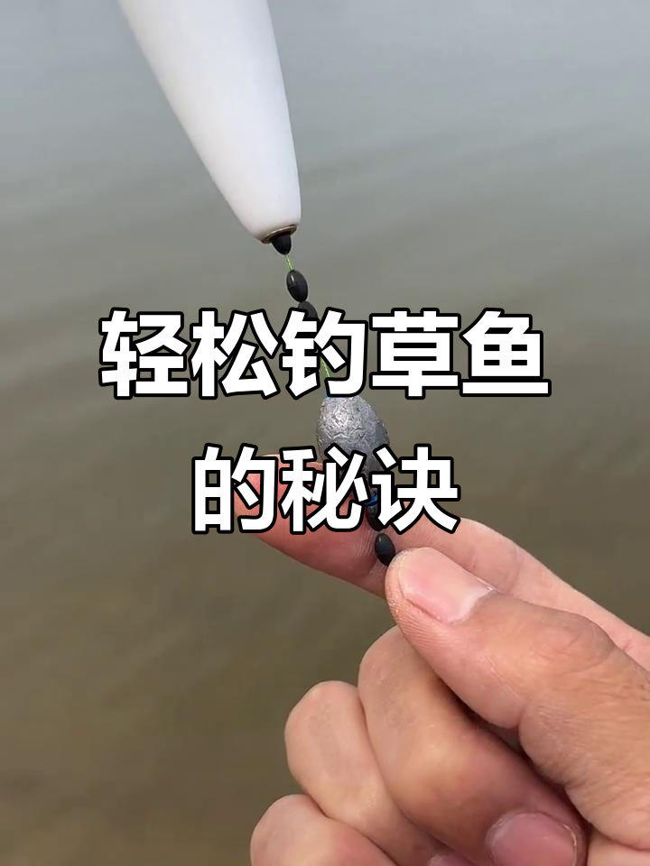 浮钓鲤鱼草鱼技巧(浮钓草鱼视频教程)