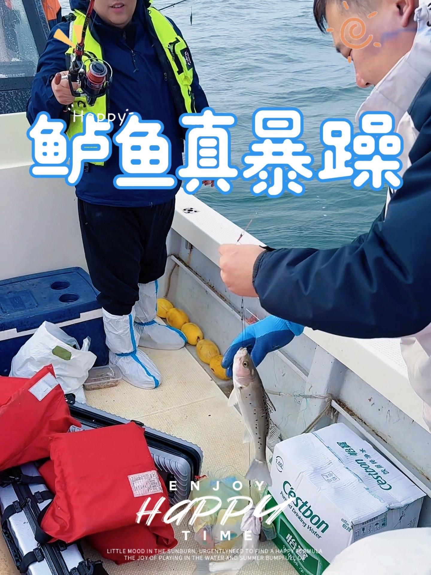 大港马棚口海钓(天津大港海钓钓鱼群)