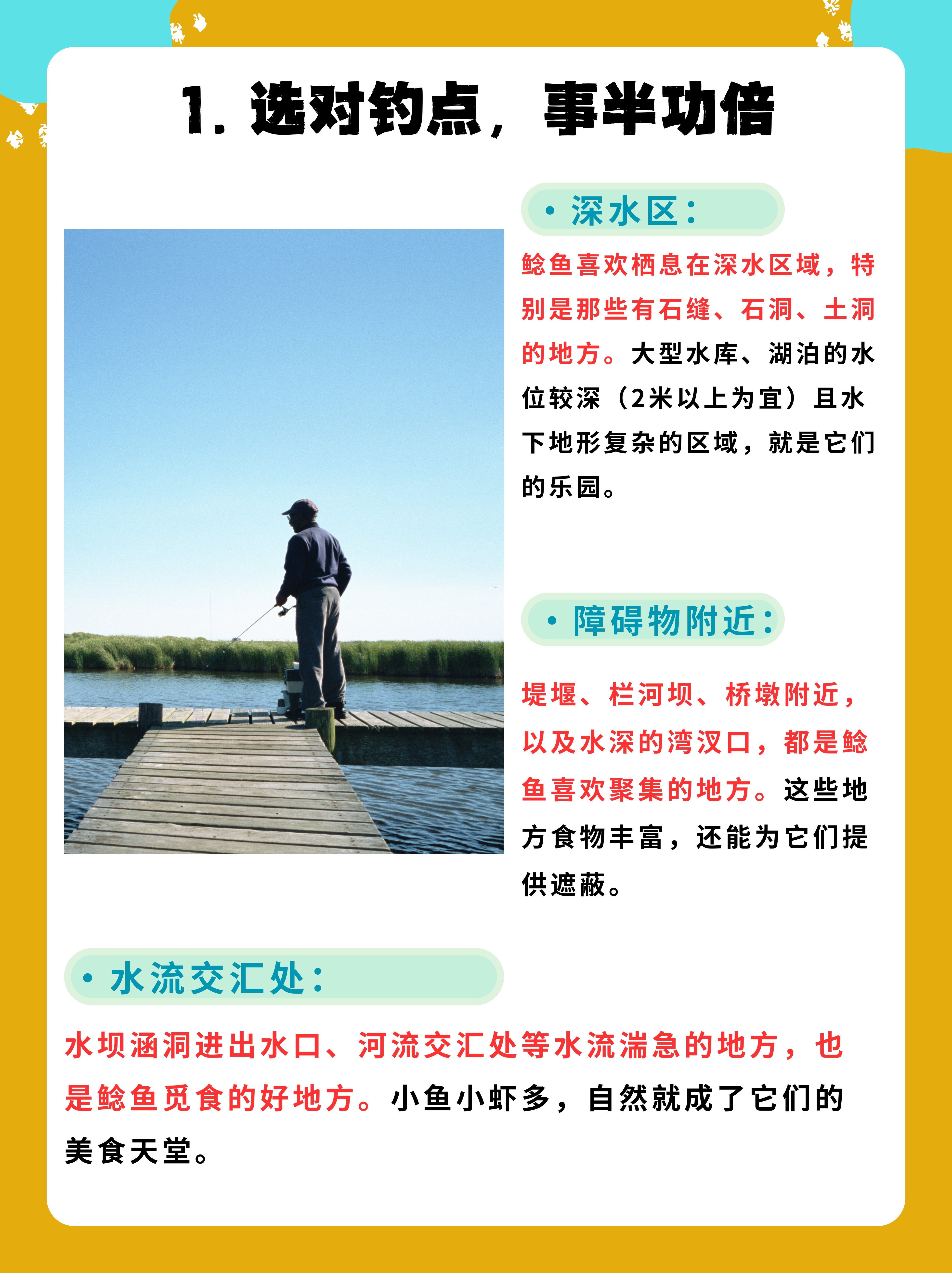 春季泥鳅钓鲶鱼技巧(挂泥鳅钓鲶鱼的线组)
