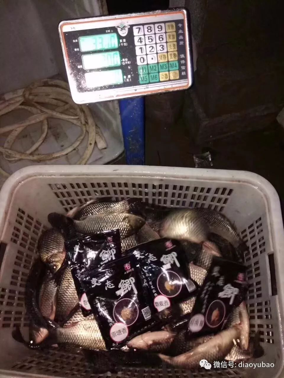 冬季变态鲫饵料(冬季鲫鱼商品饵窝料配方)