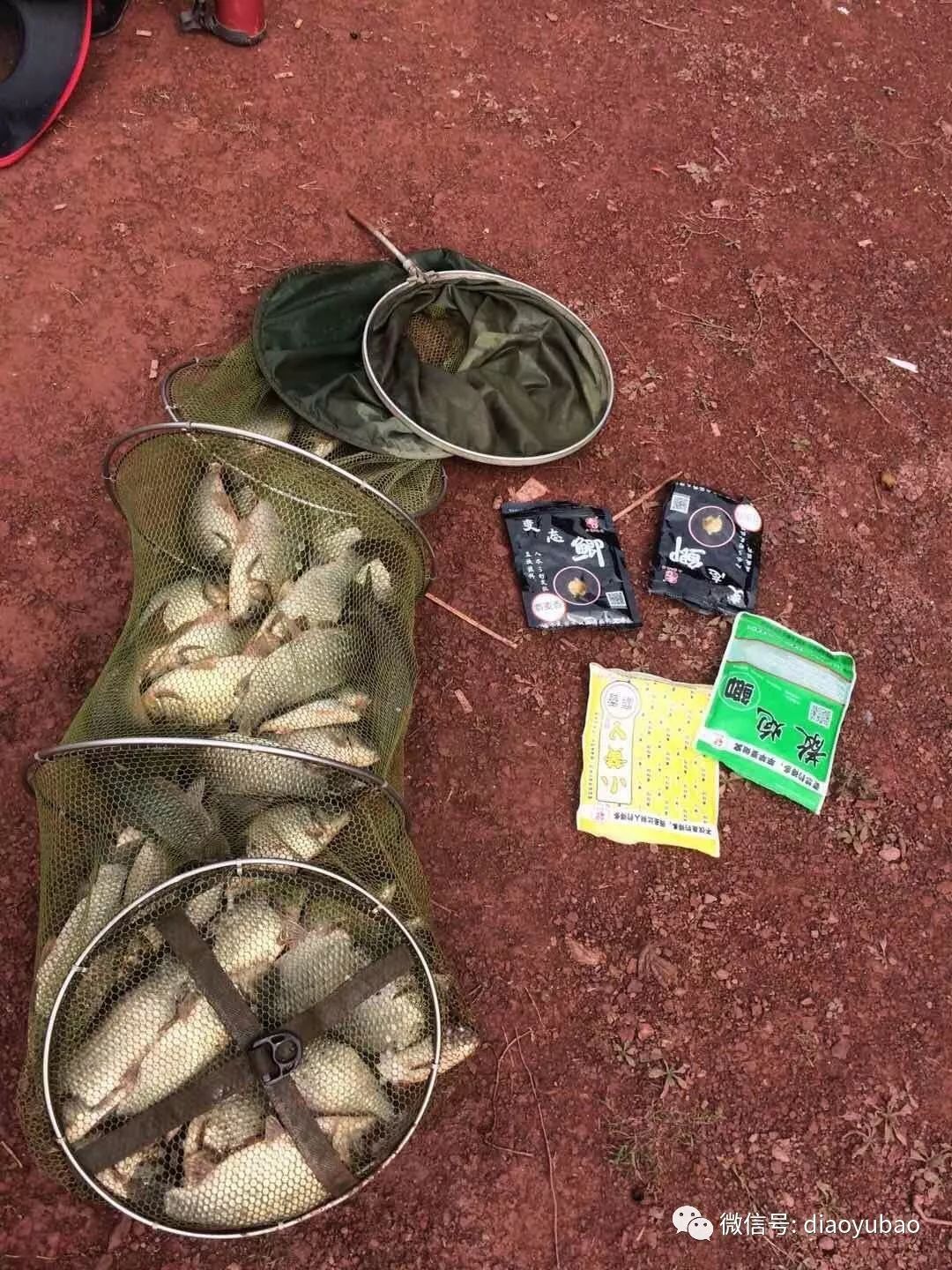 冬季变态鲫饵料(冬季鲫鱼商品饵窝料配方)