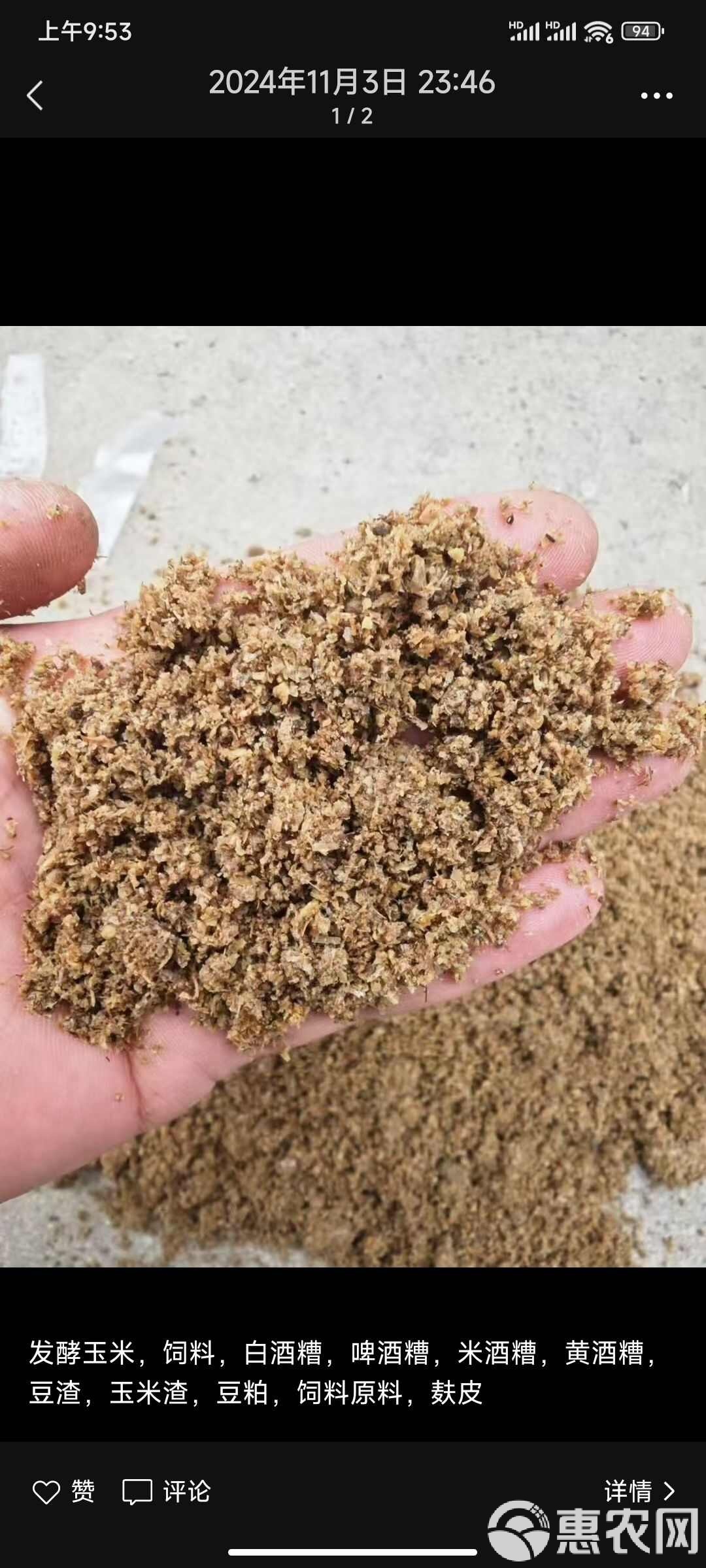 酒糟玉米饵料制作方法(玉米酒糟是什么饲料)