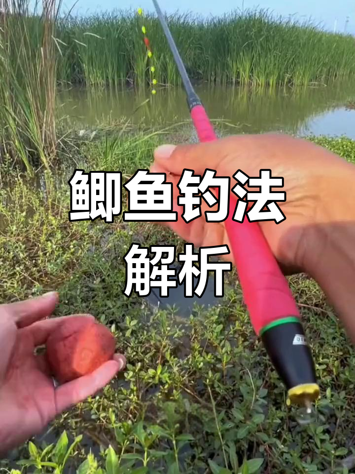 钓很小的鲫鱼技巧(钓很小的鲫鱼技巧视频)