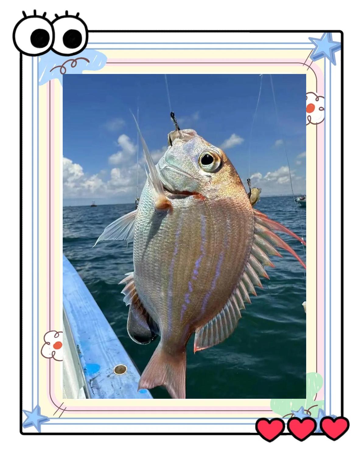 海钓注意方法(海钓规矩)